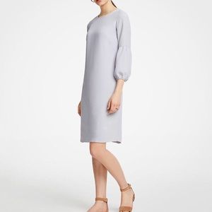 Ann Taylor Lantern Sleeve Shift Dress
